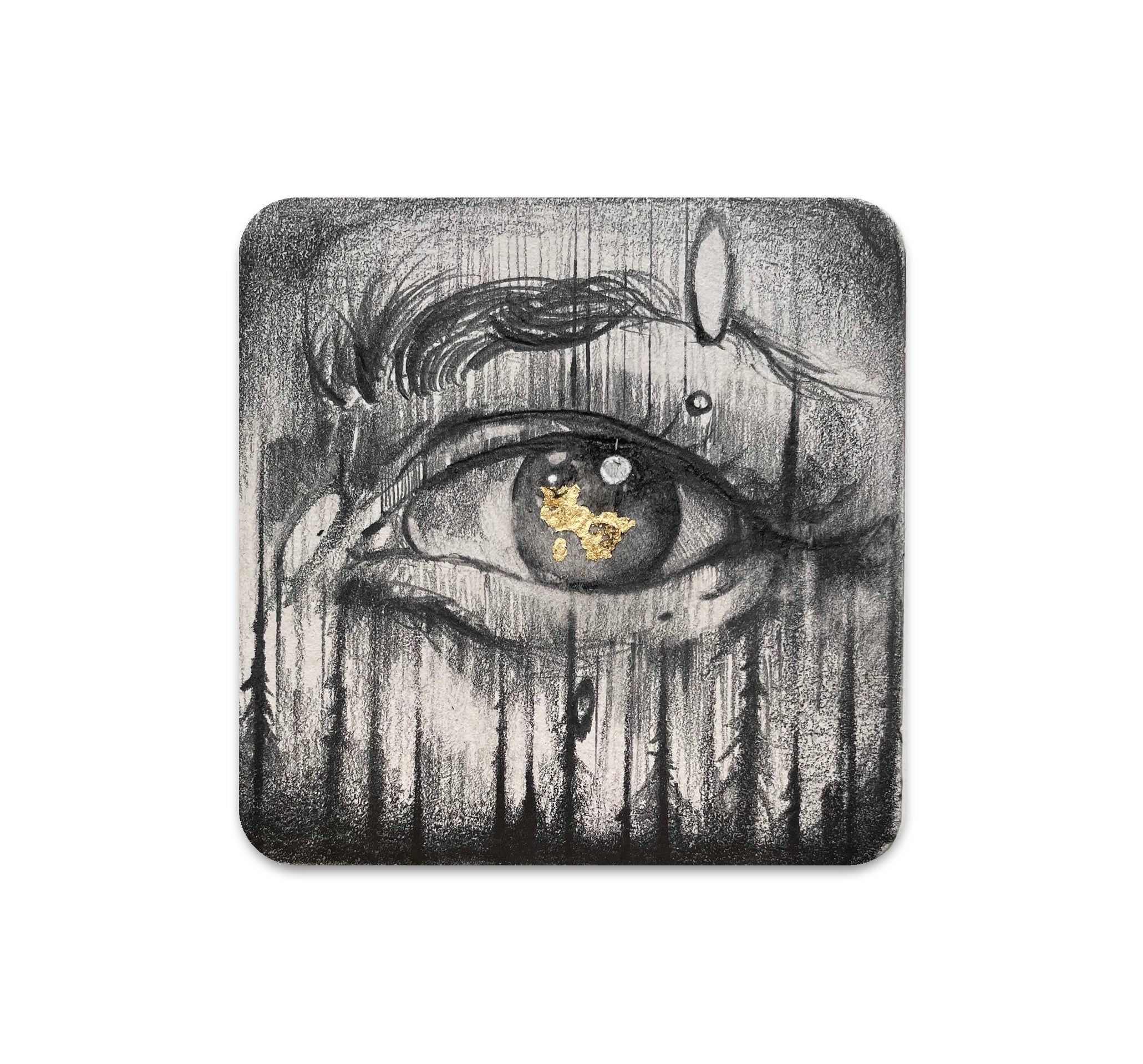 S6 Brian Serway - Coaster 3