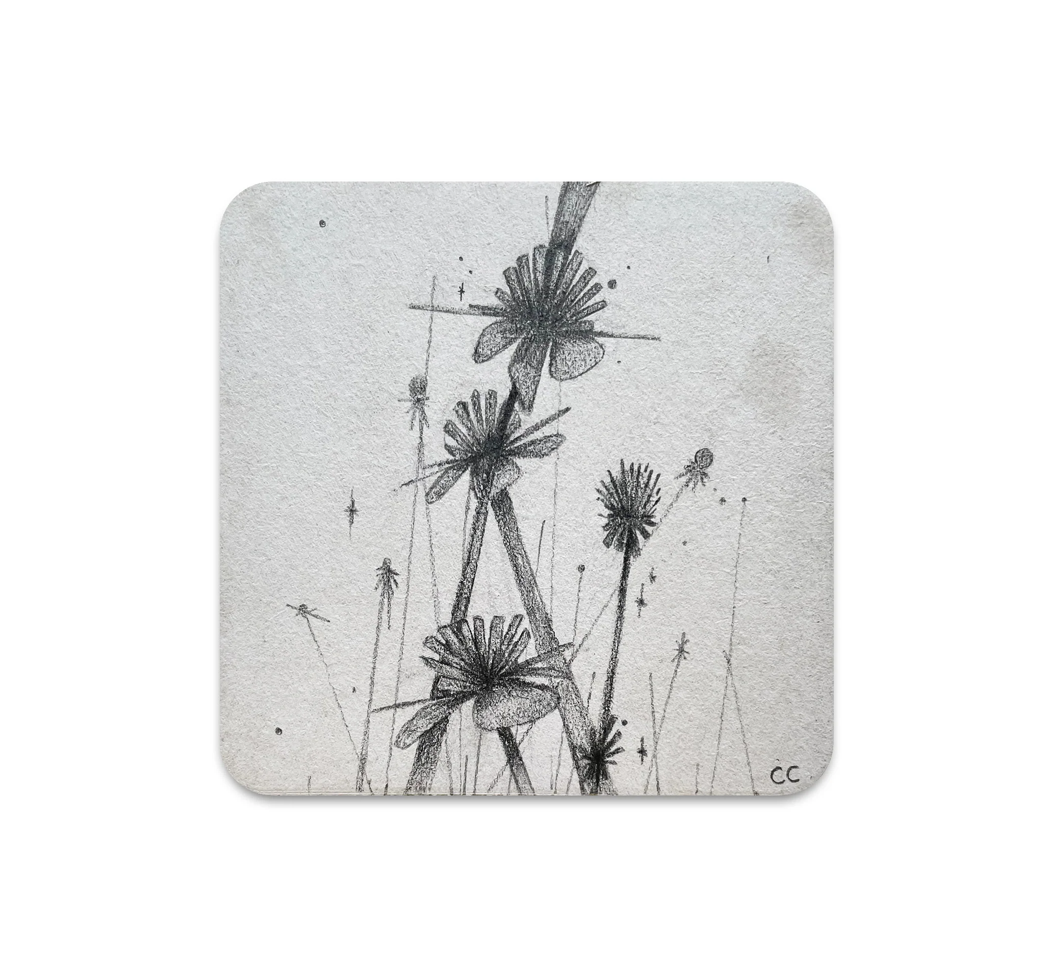 S6 Camilo Castro - Coaster 1