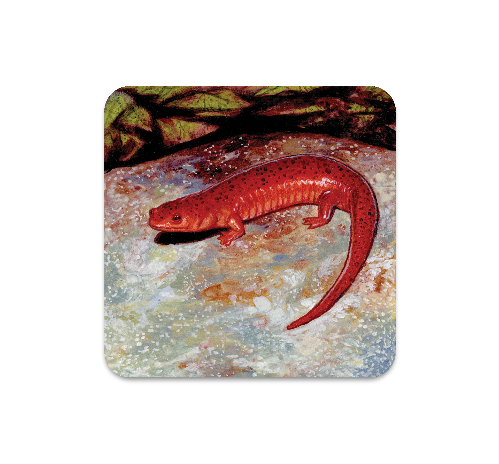 S6 Danny Schwartz - Coaster 4
