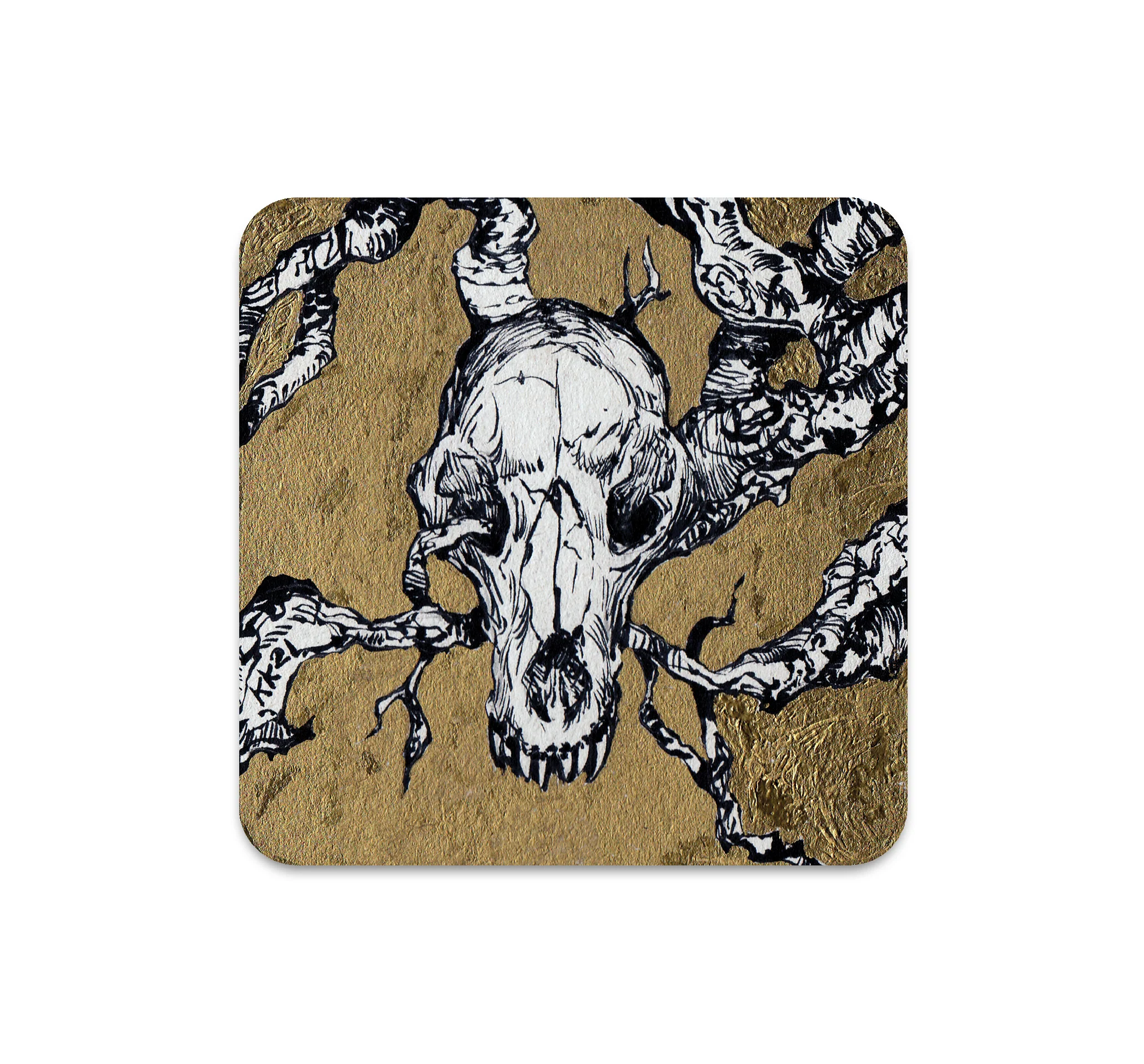 S6 Kekai Kotaki - Coaster 2
