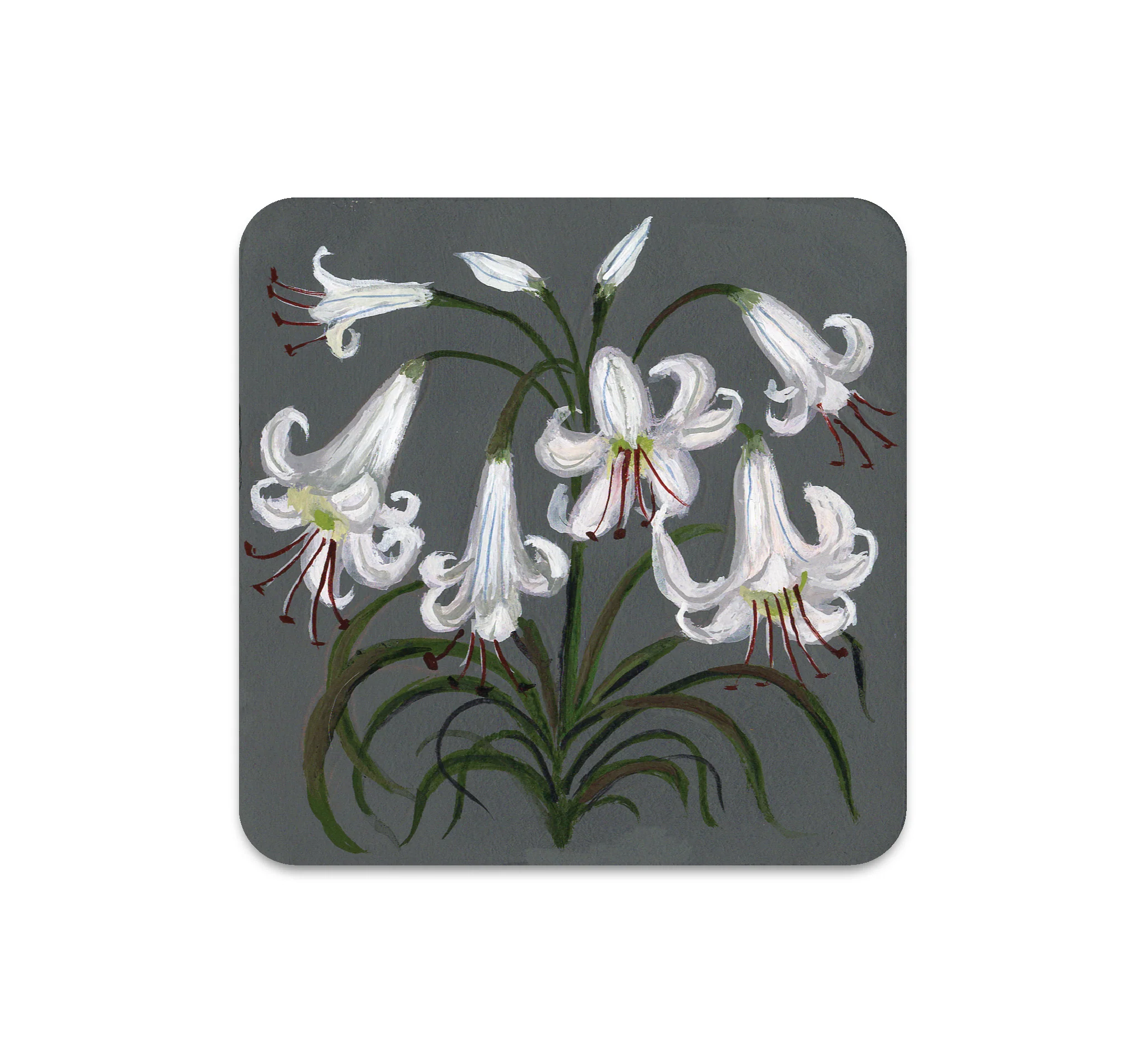 S6 Kelly Louise Judd - Coaster 1
