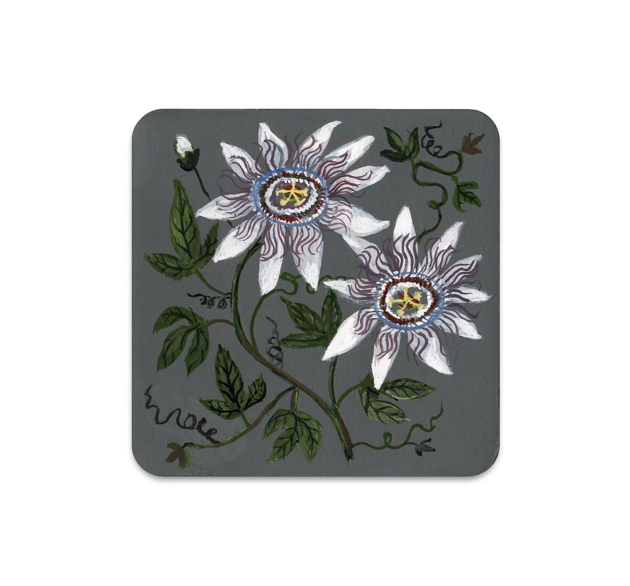 S6 Kelly Louise Judd - Coaster 3