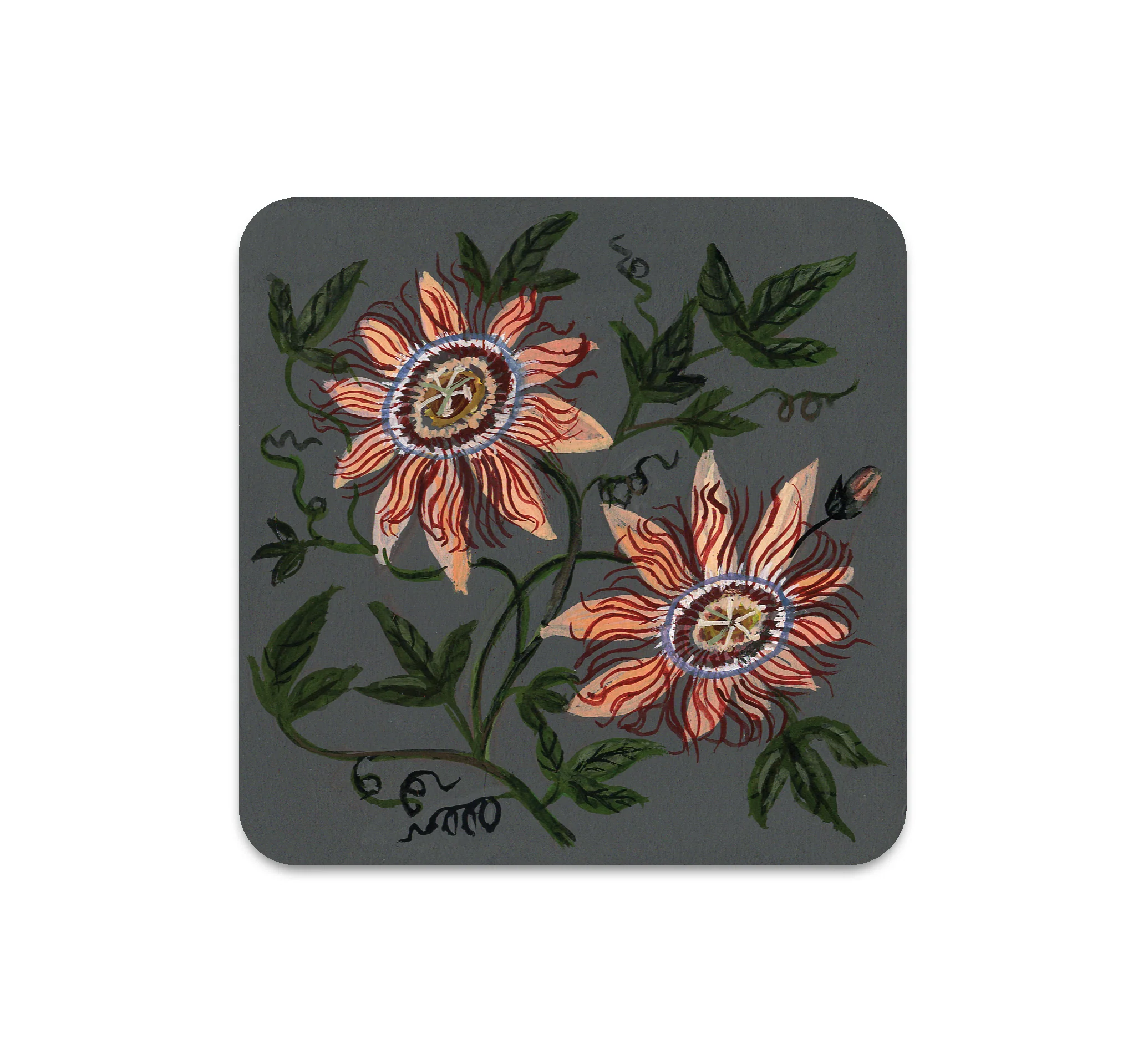 S6 Kelly Louise Judd - Coaster 6