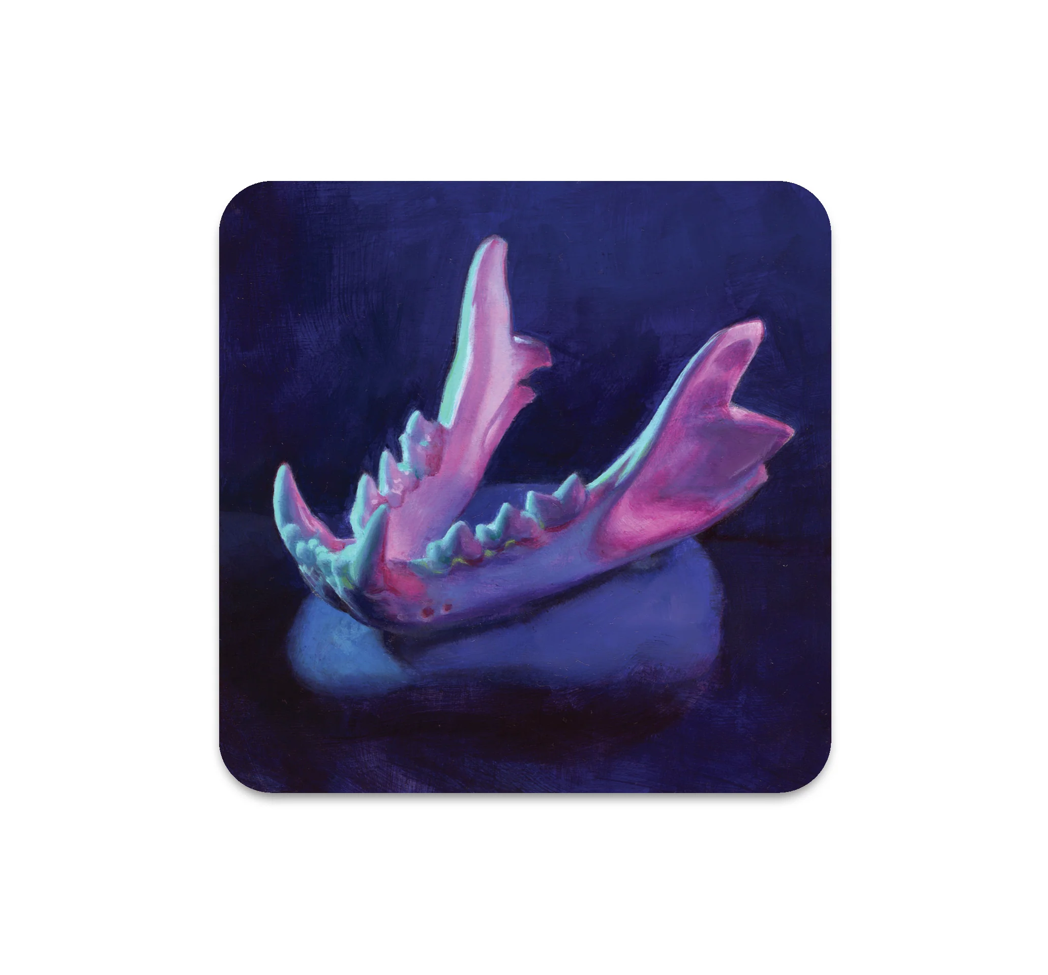 S6 Tegan Bellitta - Coaster 3