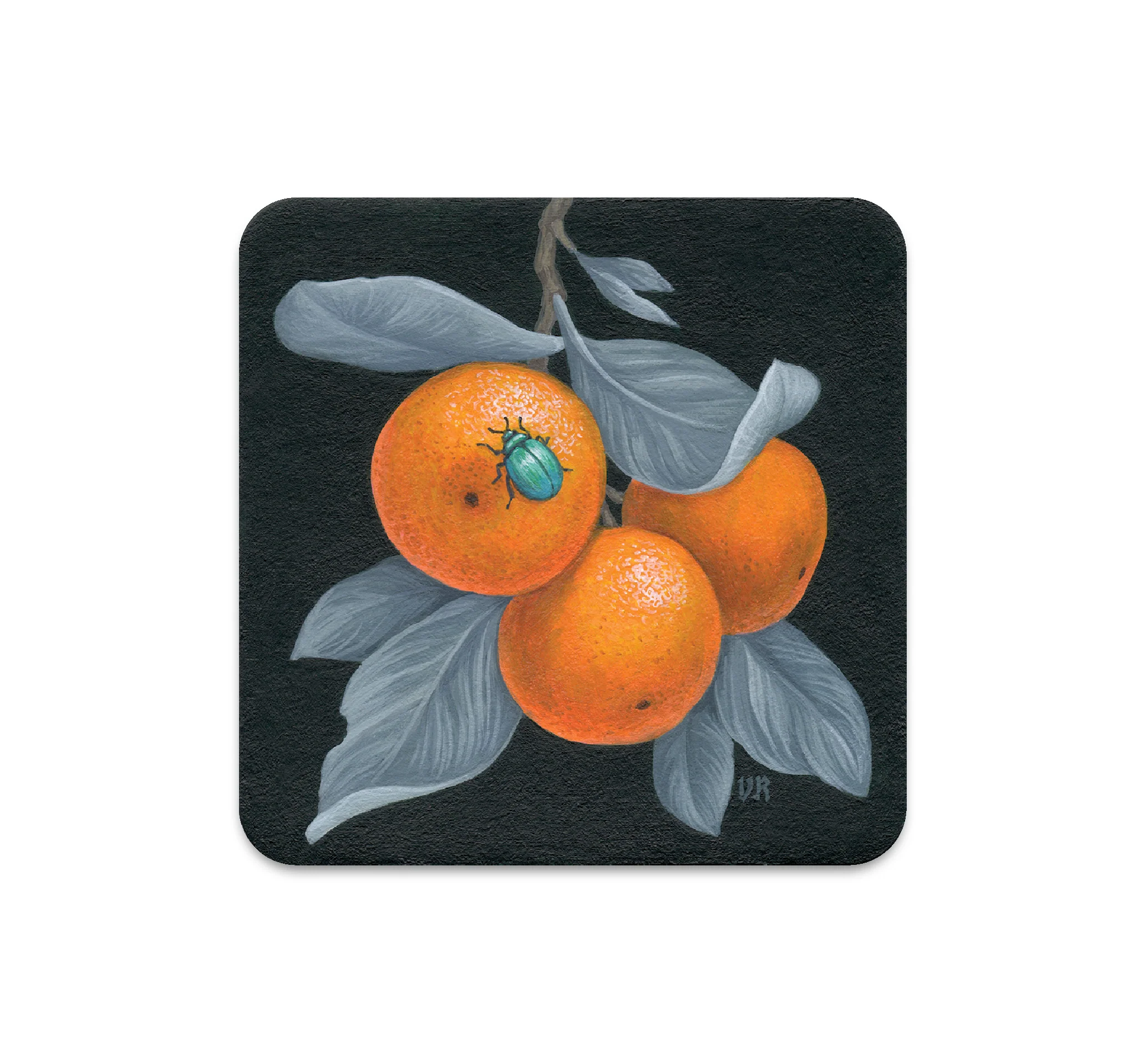 S6 Vasilisa Romanenko - Coaster 3