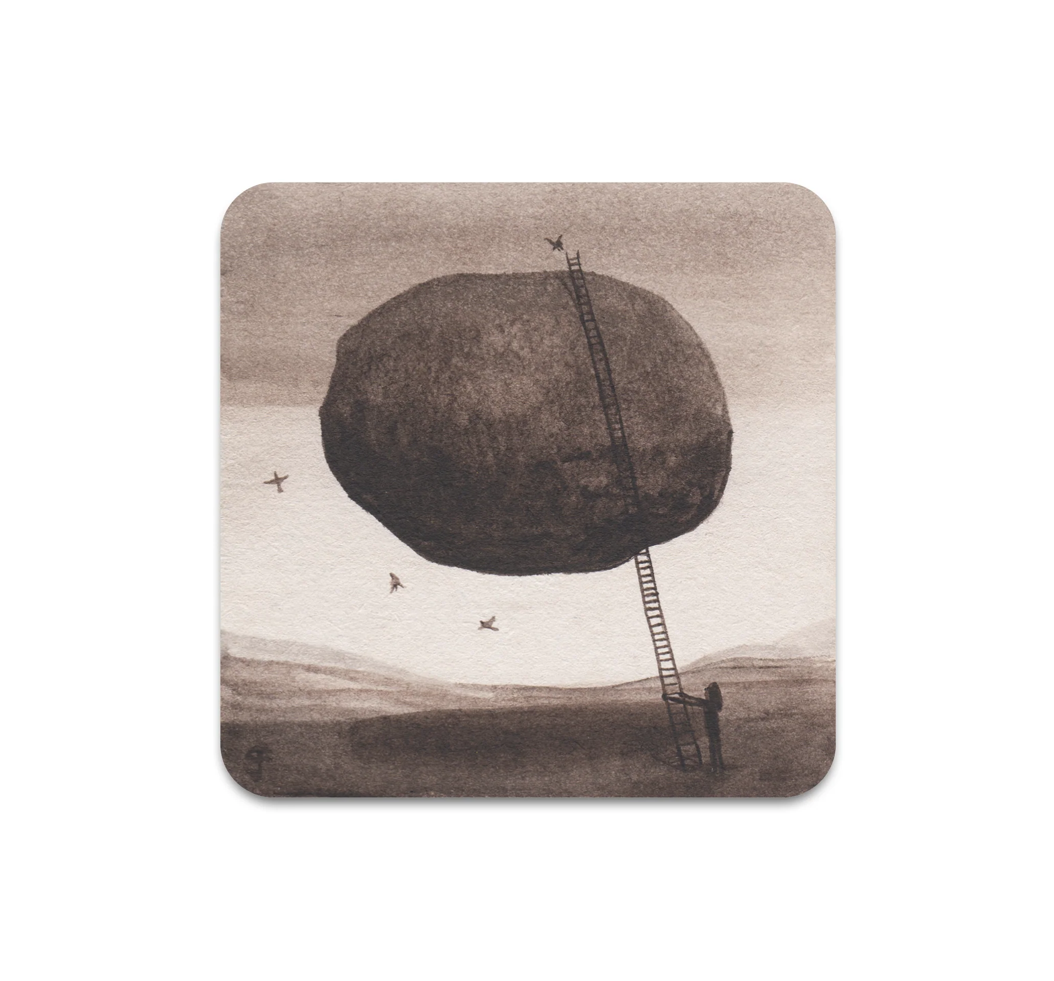 S7 Graham Franciose - Coaster 7