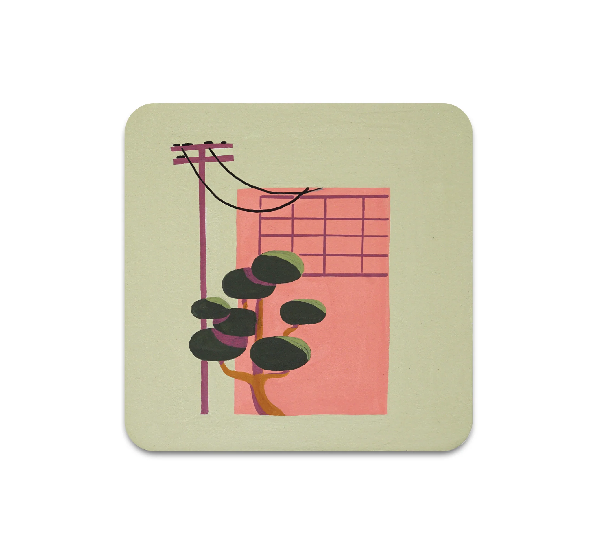 S7 Stephanie DeAngelis - Coaster 2