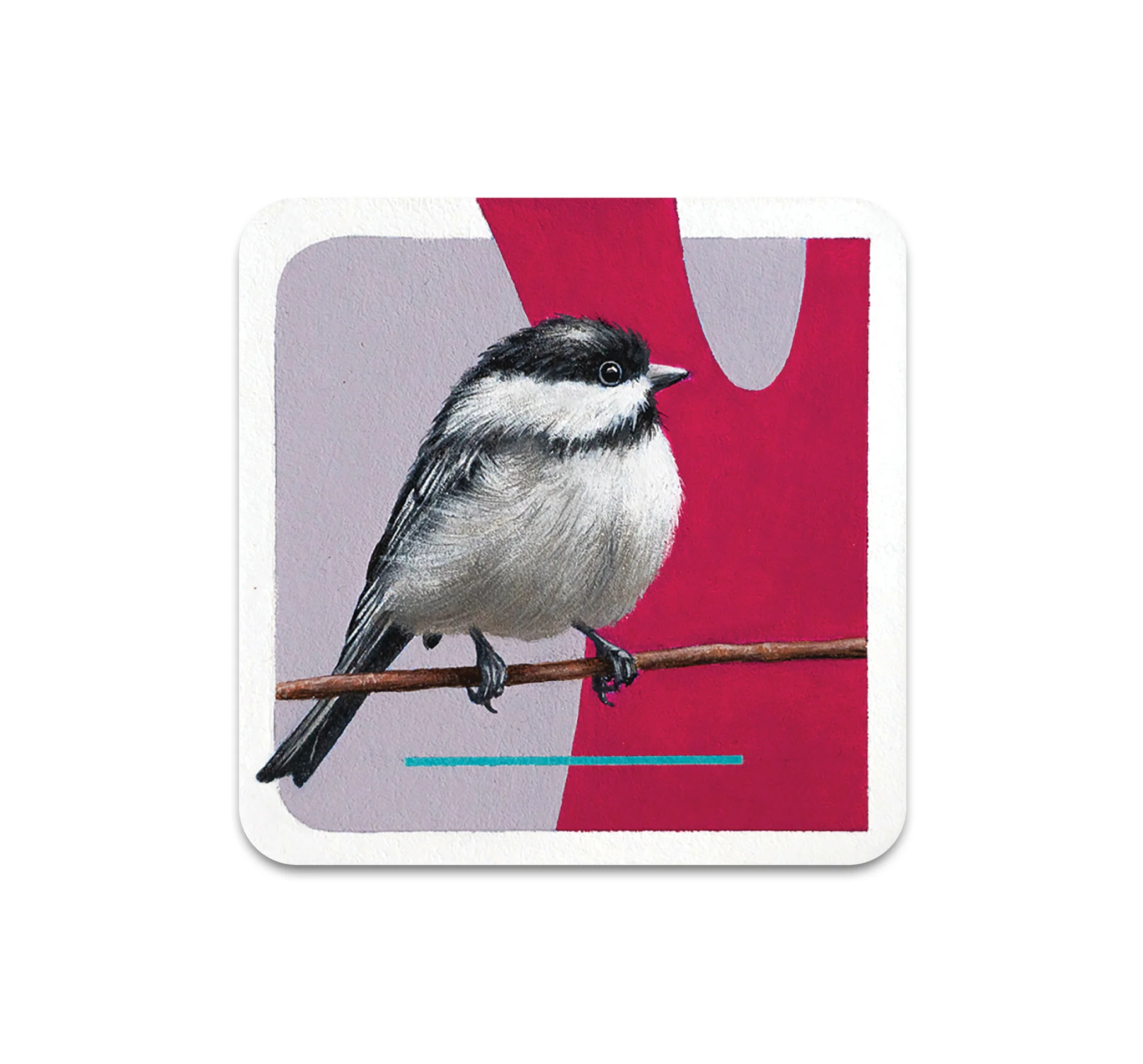 S7 Steve Martinez - Coaster 2