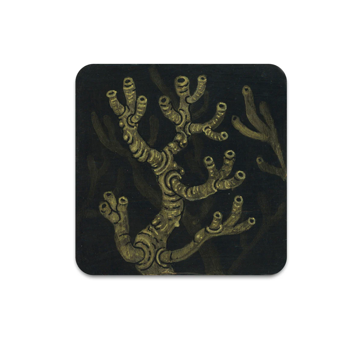 S8 Alex Kuno - Coaster 3