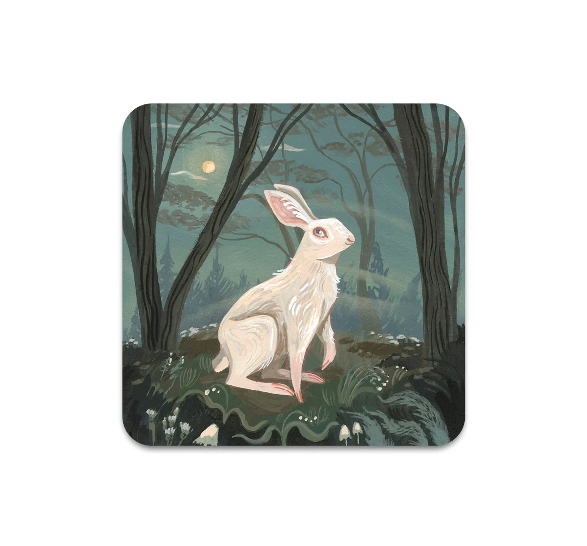 S9 Rae Ritchie - Coaster 2