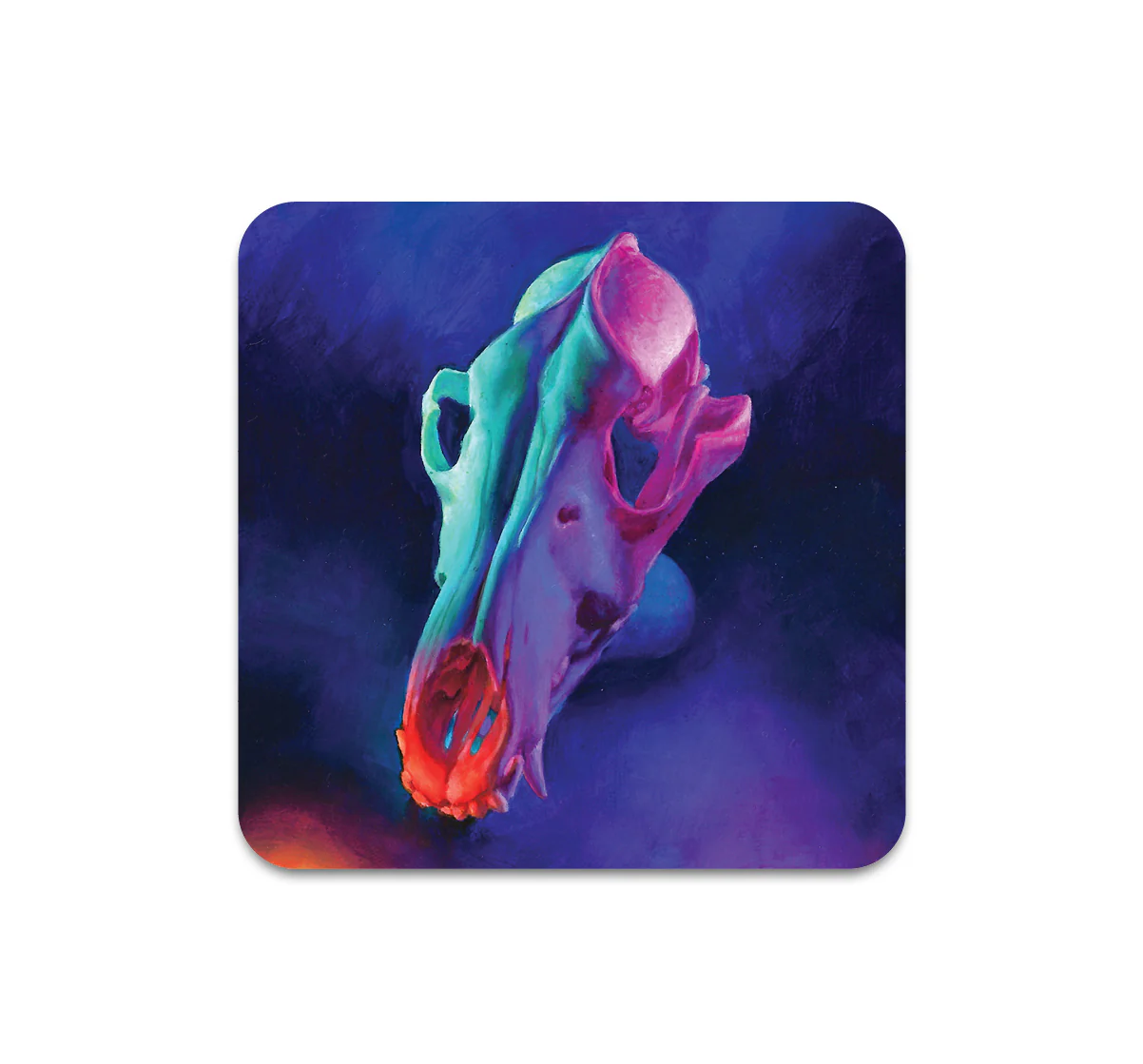 S9 Tegan Bellitta - Coaster 1