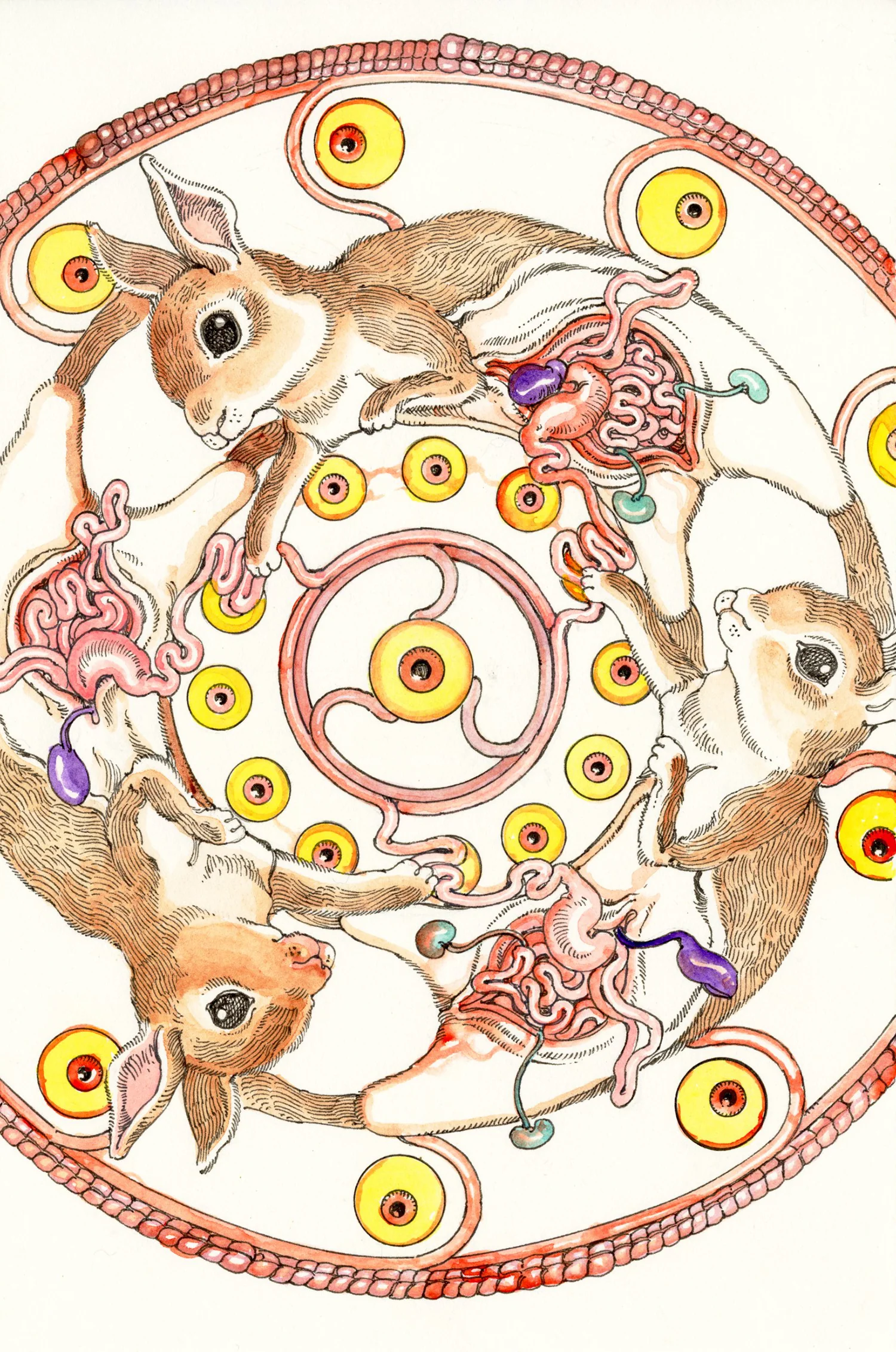 Shintaro Kago - Rabbit - Image 2