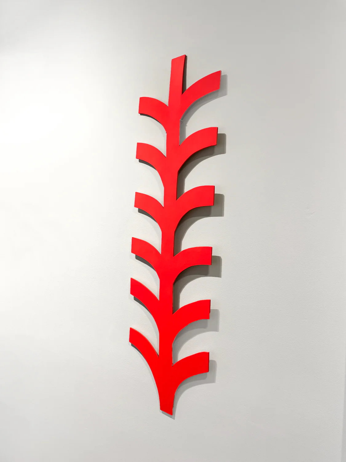 Stevie Shao - Vine - Image 2