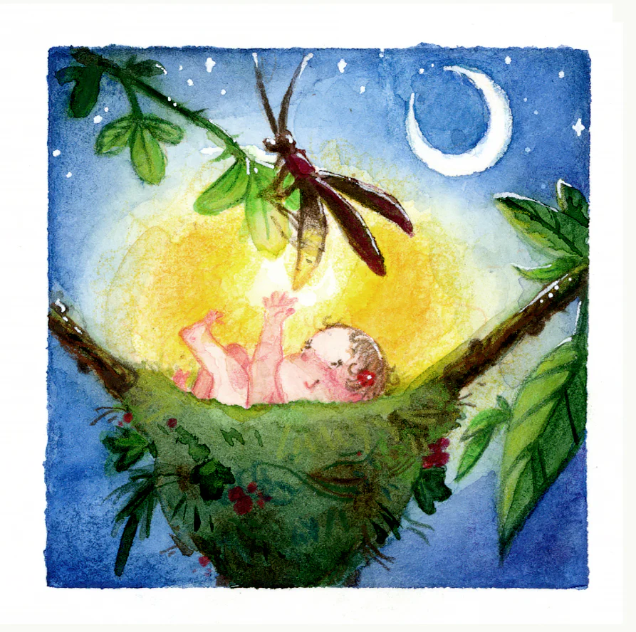 Svetla Radivoeva - Firefly Baby - Image 2