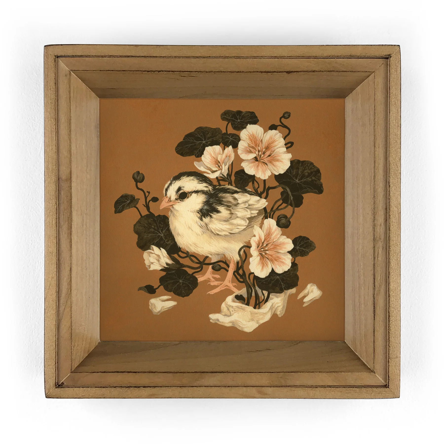 Teagan White - Beak
