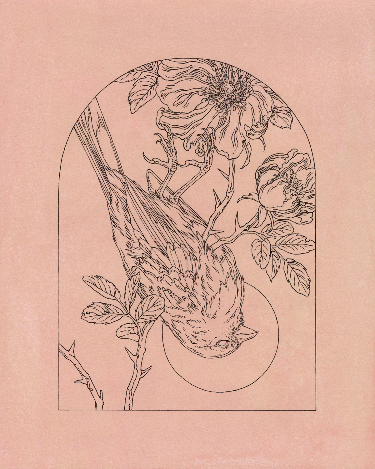 Teagan White - Dying Dreams
