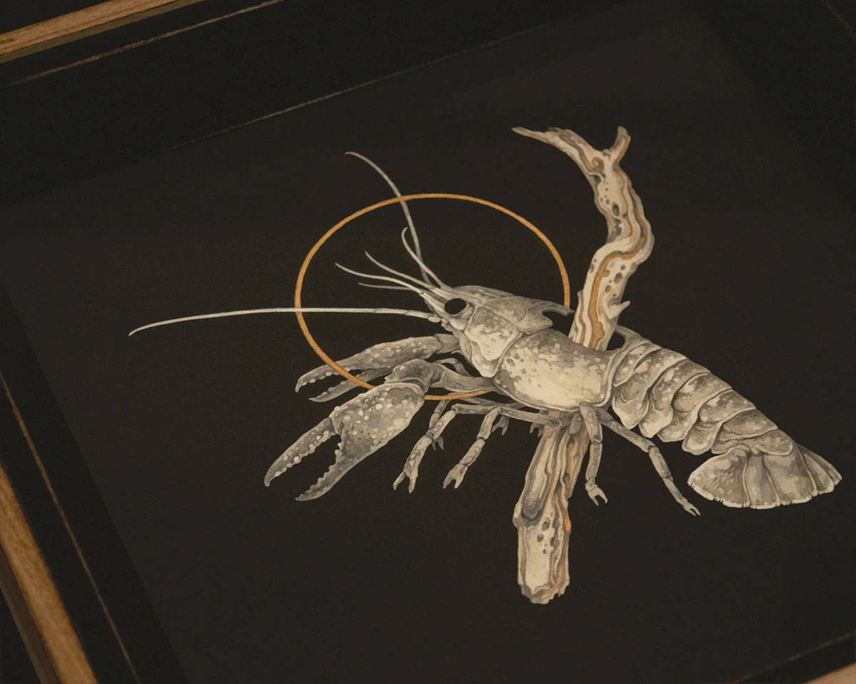 Teagan White - Estuary - Image 2