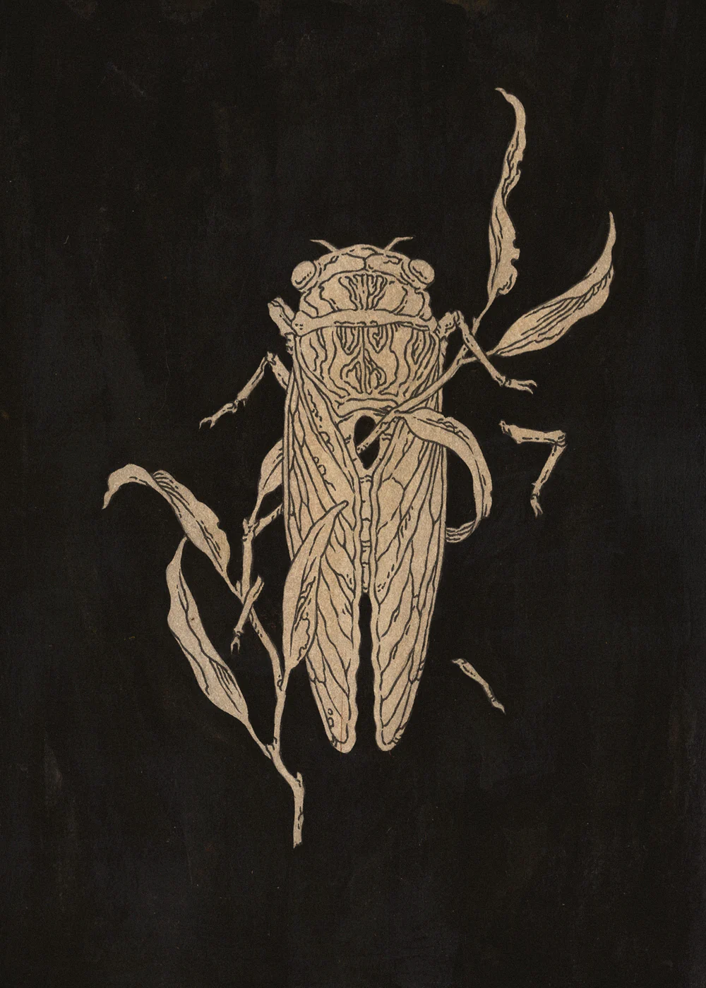 Teagan White - Funeral