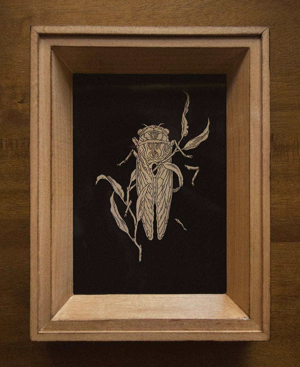 Teagan White - Funeral - Image 2