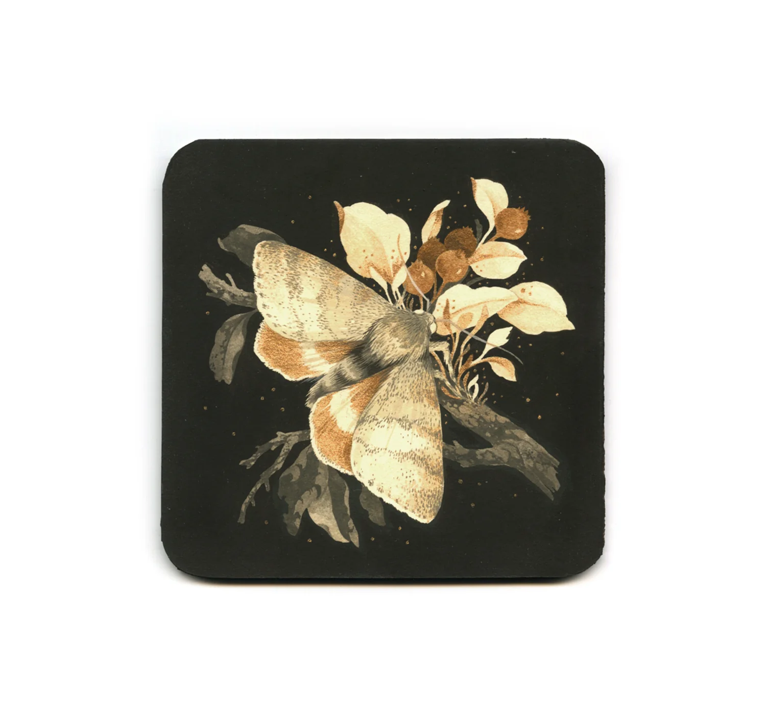 S2 Teagan White - Imaginal Stage II Coaster