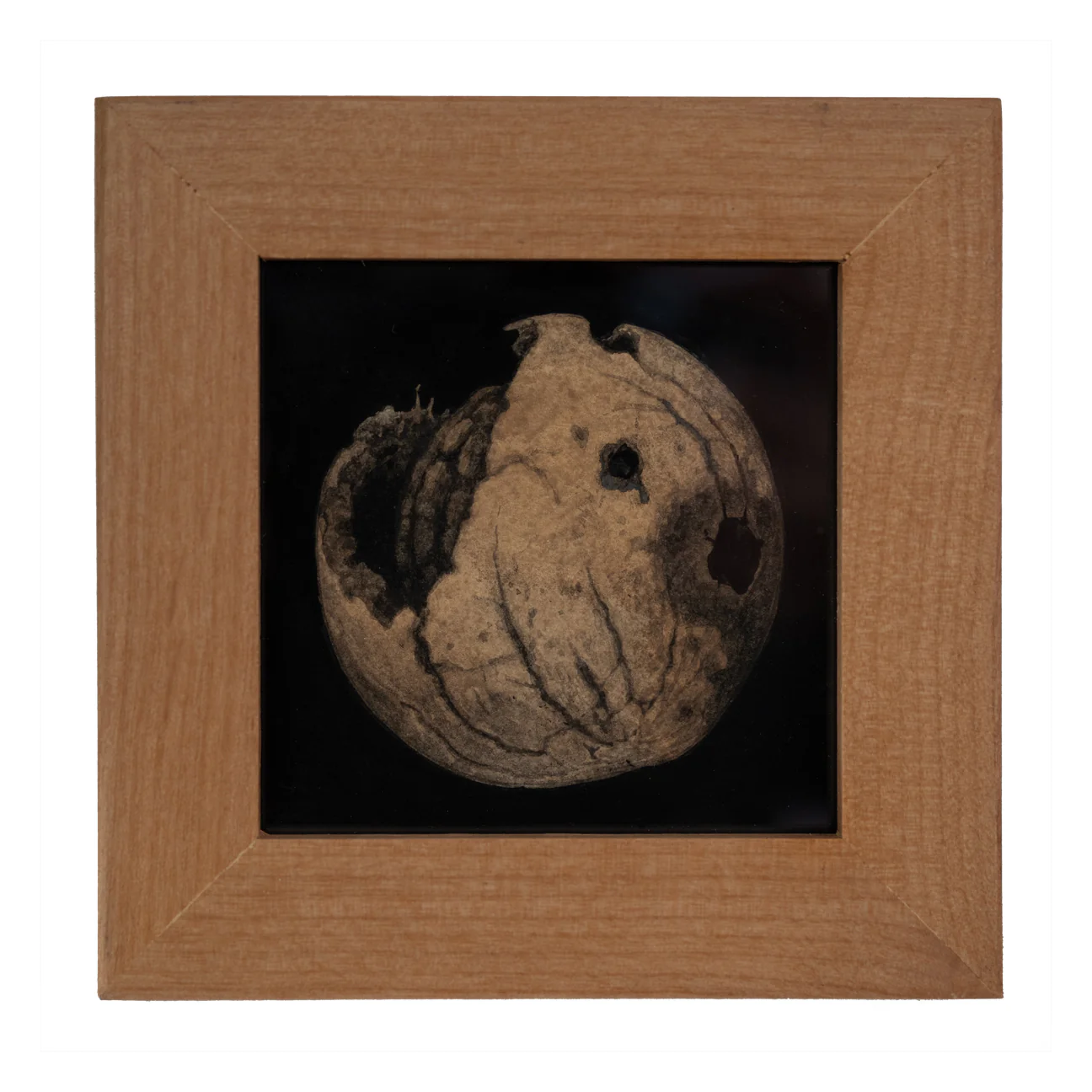 Teagan White - Reintegration (Black Walnut 2)