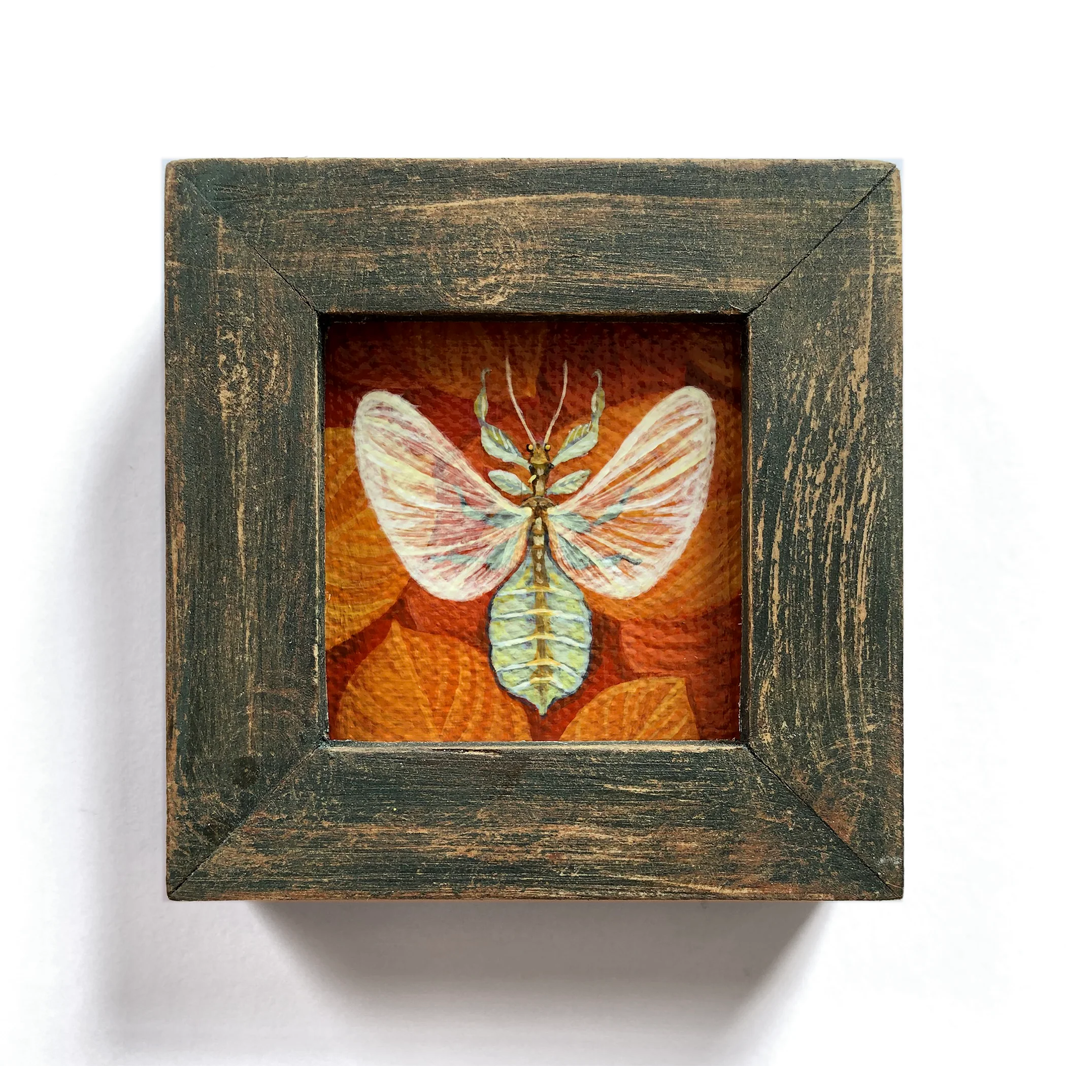 Vasilisa Romanenko - Leaf Insect - Image 2