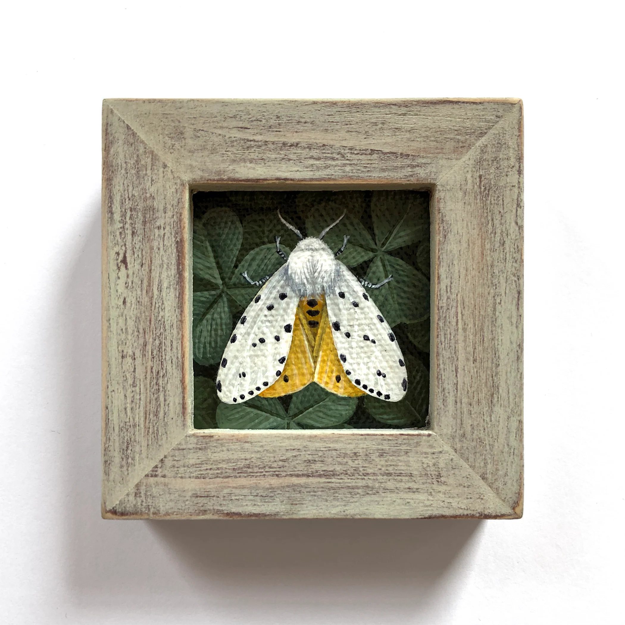Vasilisa Romanenko - Salt Marsh Moth - Image 2