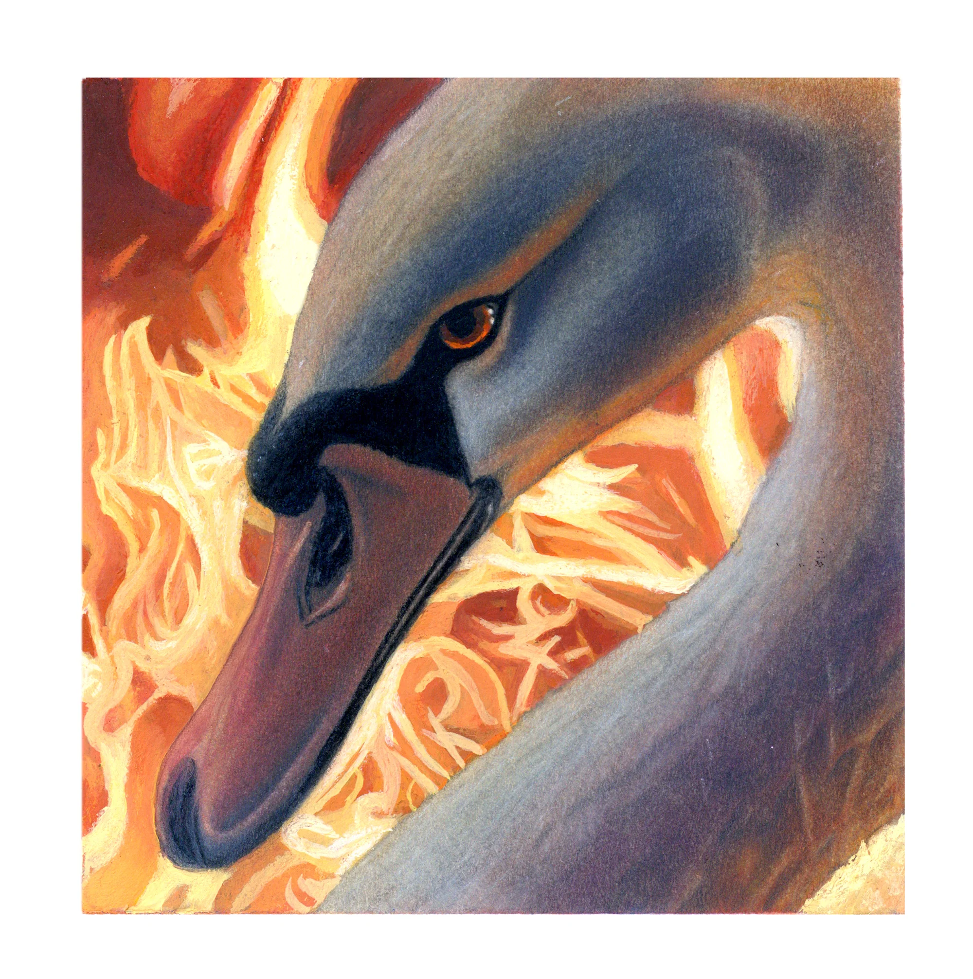 Zach Meyer - Ember - Image 2
